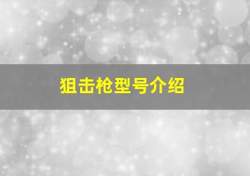 狙击枪型号介绍