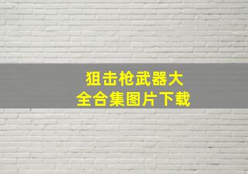 狙击枪武器大全合集图片下载