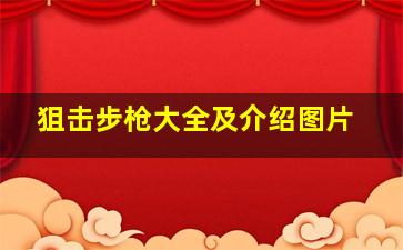 狙击步枪大全及介绍图片