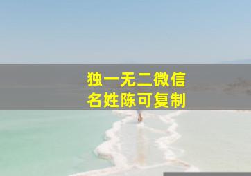 独一无二微信名姓陈可复制