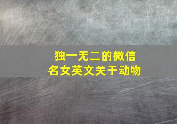 独一无二的微信名女英文关于动物