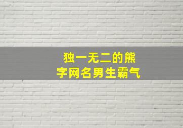 独一无二的熊字网名男生霸气