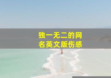 独一无二的网名英文版伤感