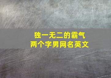 独一无二的霸气两个字男网名英文