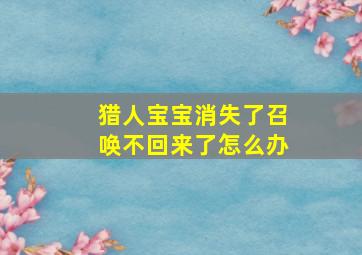 猎人宝宝消失了召唤不回来了怎么办