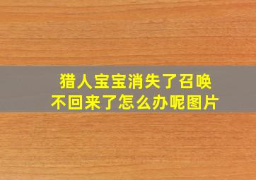 猎人宝宝消失了召唤不回来了怎么办呢图片