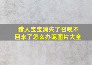 猎人宝宝消失了召唤不回来了怎么办呢图片大全