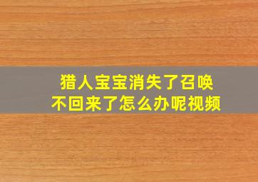 猎人宝宝消失了召唤不回来了怎么办呢视频