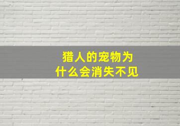 猎人的宠物为什么会消失不见