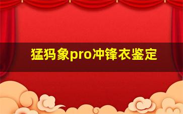 猛犸象pro冲锋衣鉴定