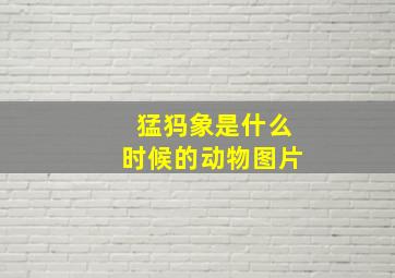 猛犸象是什么时候的动物图片