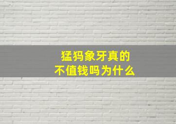 猛犸象牙真的不值钱吗为什么