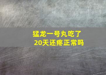 猛龙一号丸吃了20天还疼正常吗