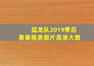 猛龙队2019季后赛赛程表图片高清大图