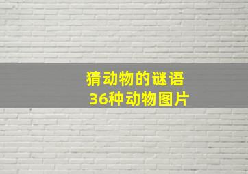 猜动物的谜语36种动物图片