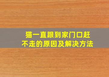 猫一直跟到家门口赶不走的原因及解决方法