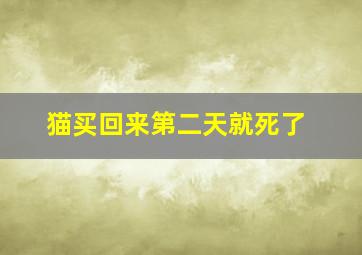 猫买回来第二天就死了