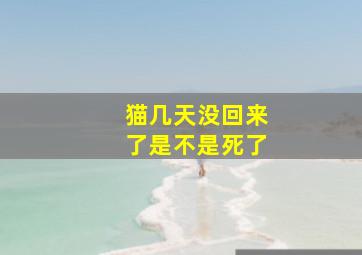 猫几天没回来了是不是死了