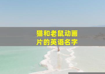 猫和老鼠动画片的英语名字