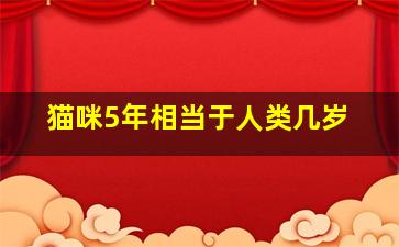 猫咪5年相当于人类几岁