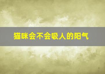 猫咪会不会吸人的阳气