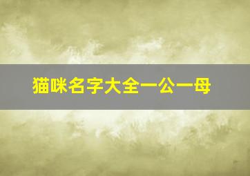 猫咪名字大全一公一母