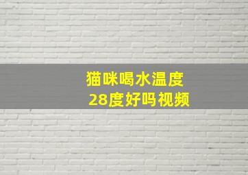 猫咪喝水温度28度好吗视频