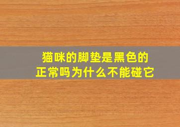 猫咪的脚垫是黑色的正常吗为什么不能碰它