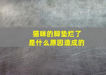 猫咪的脚垫烂了是什么原因造成的