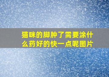 猫咪的脚肿了需要涂什么药好的快一点呢图片