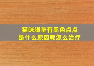 猫咪脚垫有黑色点点是什么原因呢怎么治疗