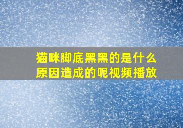 猫咪脚底黑黑的是什么原因造成的呢视频播放