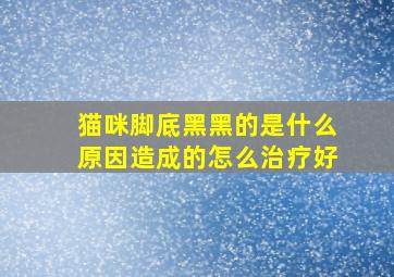 猫咪脚底黑黑的是什么原因造成的怎么治疗好