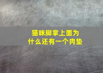 猫咪脚掌上面为什么还有一个肉垫