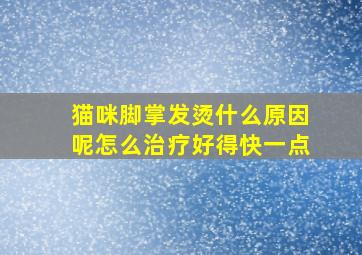 猫咪脚掌发烫什么原因呢怎么治疗好得快一点