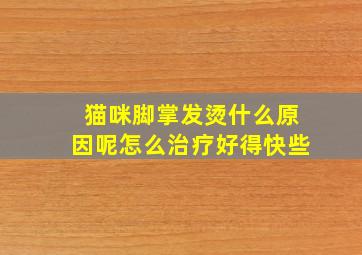 猫咪脚掌发烫什么原因呢怎么治疗好得快些