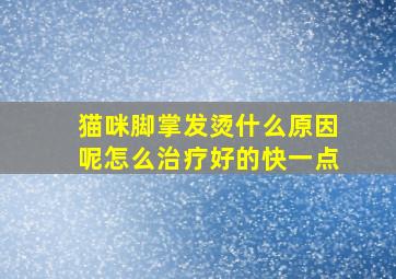 猫咪脚掌发烫什么原因呢怎么治疗好的快一点