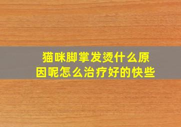 猫咪脚掌发烫什么原因呢怎么治疗好的快些