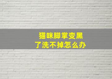 猫咪脚掌变黑了洗不掉怎么办