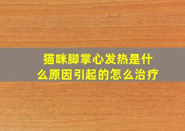 猫咪脚掌心发热是什么原因引起的怎么治疗