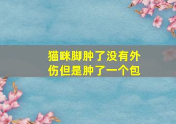 猫咪脚肿了没有外伤但是肿了一个包