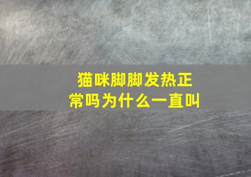 猫咪脚脚发热正常吗为什么一直叫