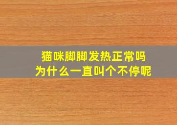 猫咪脚脚发热正常吗为什么一直叫个不停呢