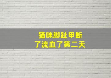 猫咪脚趾甲断了流血了第二天