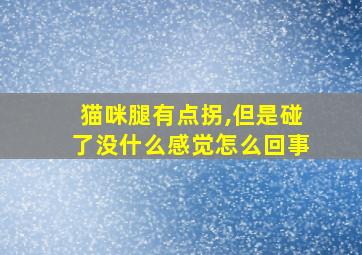 猫咪腿有点拐,但是碰了没什么感觉怎么回事