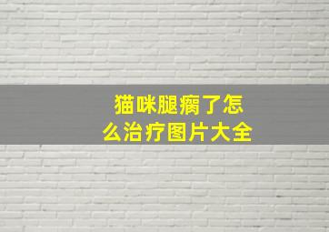 猫咪腿瘸了怎么治疗图片大全