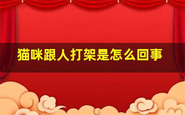 猫咪跟人打架是怎么回事