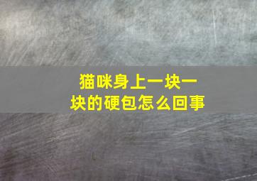 猫咪身上一块一块的硬包怎么回事