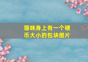 猫咪身上有一个硬币大小的包块图片