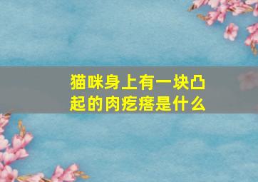 猫咪身上有一块凸起的肉疙瘩是什么